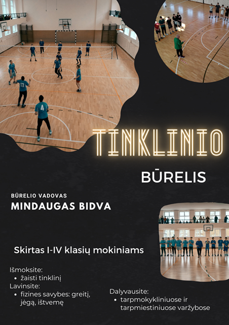 Tinklinis